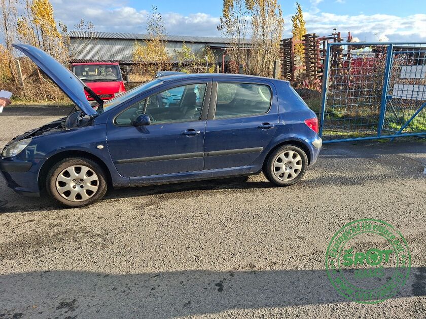 PEUGEOT 307, R.2002, 2.0, 66KW
